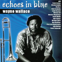 echoes in blue